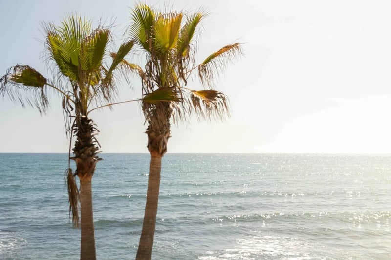 Marbella, Spain