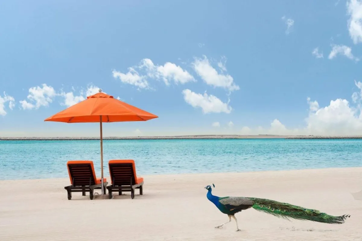 Step onto a serene private beach