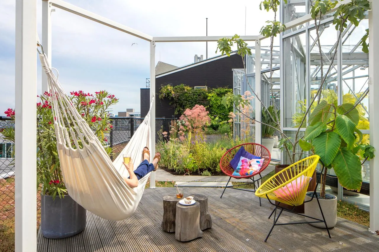 Unwind in the sunshine on the rooftop