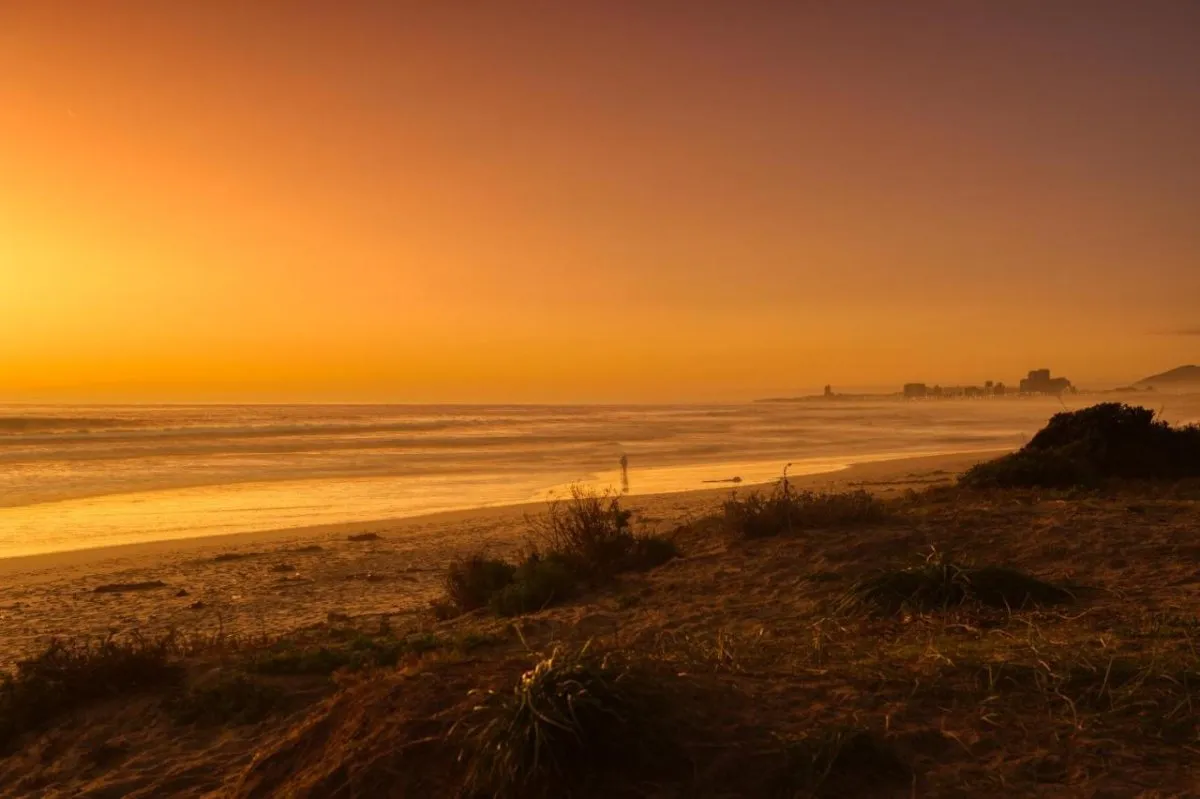 Atlantic Palms, Cape Town