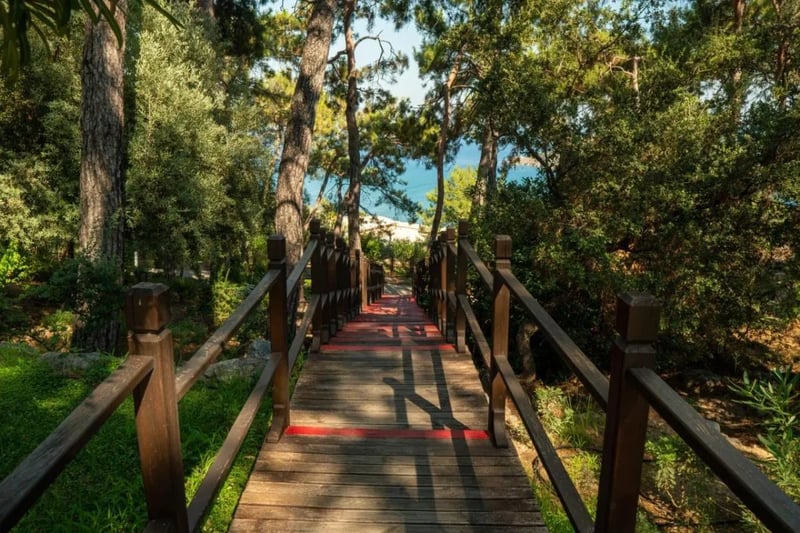 TUI BLUE Seno   Adults Only, Turkey