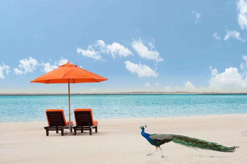 Step onto a serene private beach