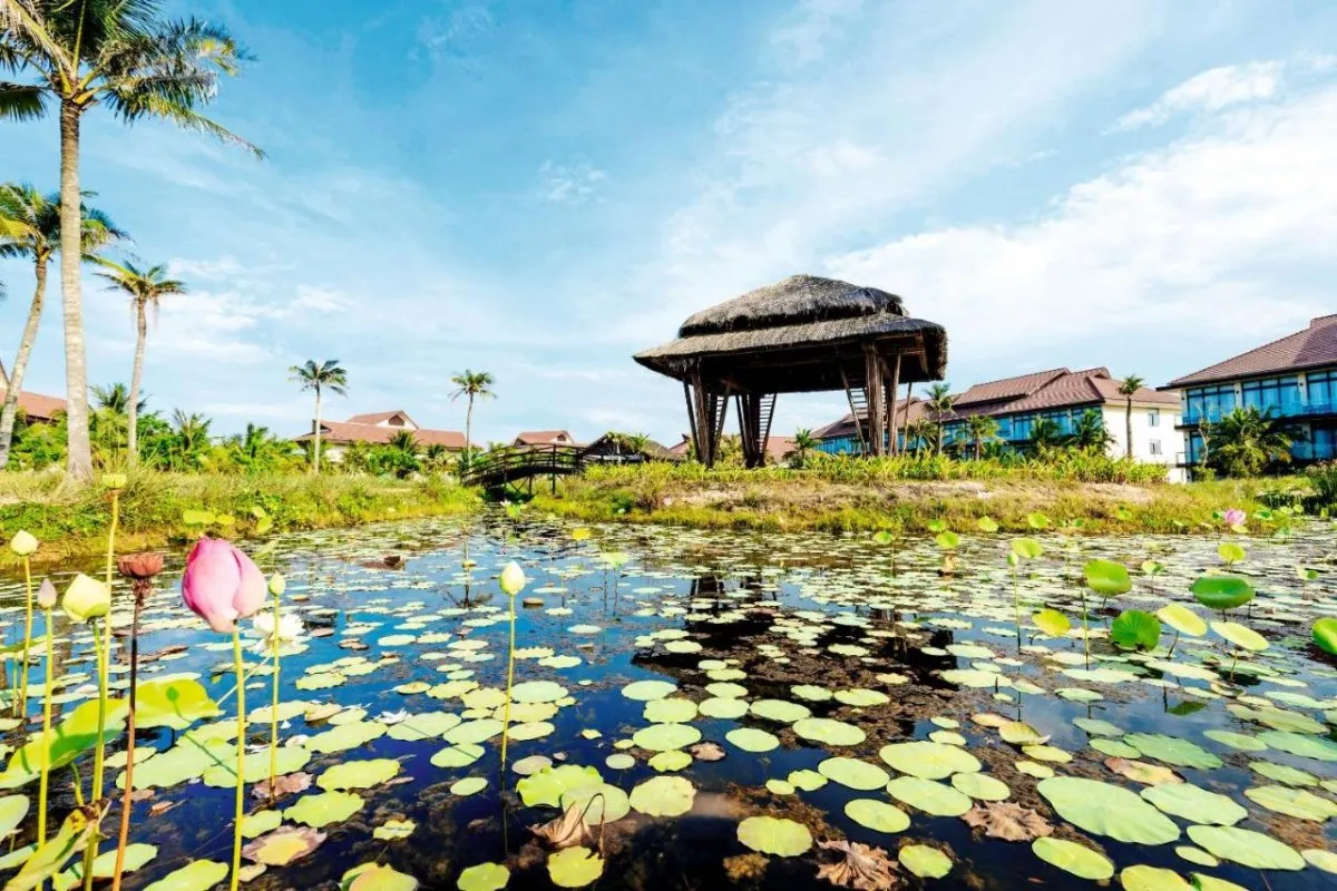 Robinson Nam Hoi An, Hoi An