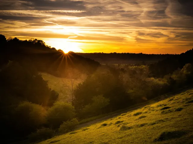 Surrey