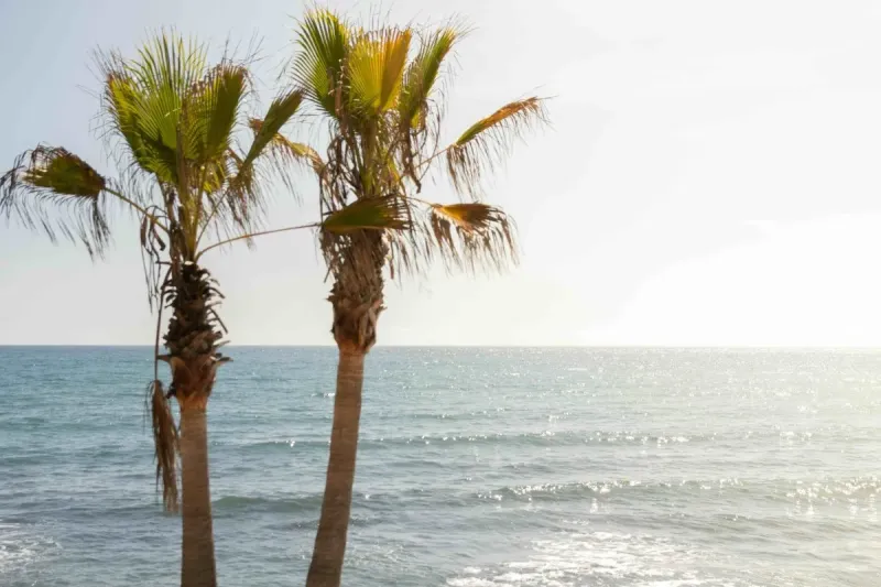 Marbella, Spain