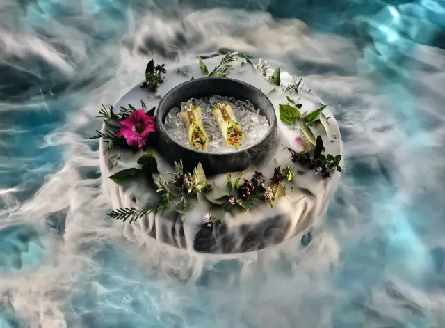 Experience a gastronomic journey