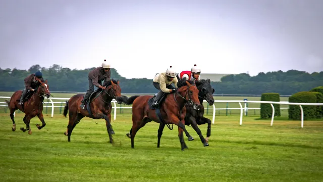 Exciting racing events in Newmarket