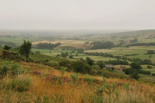 Enjoy the wild beauty of the North York Moors