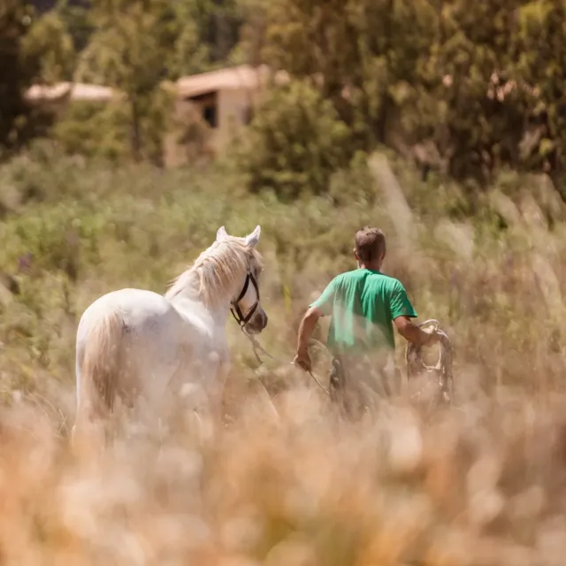Explore Corfu s untouched beauty on horseback