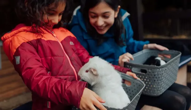 Enjoy fun family activities