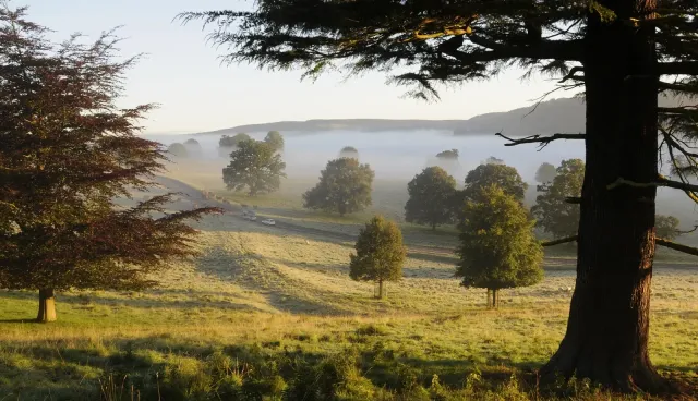 Discover the park on the many walking trails