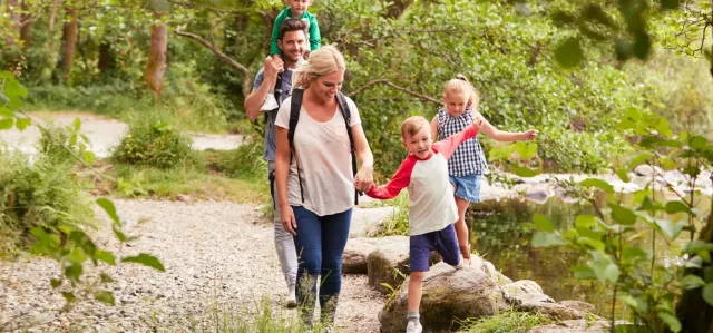 Explore family attractions nearby