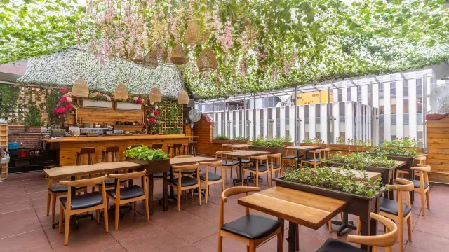 Enjoy sushi   drinks in an urban oasis