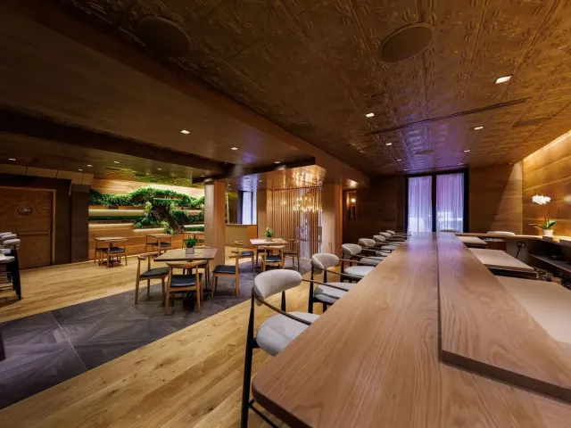 Modern Japanese cuisine in a relaxed setting