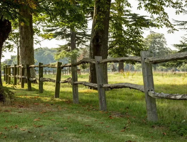 Walk around the beautiful grounds