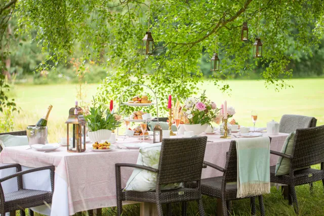 Treat yourself to a delicious afternoon tea