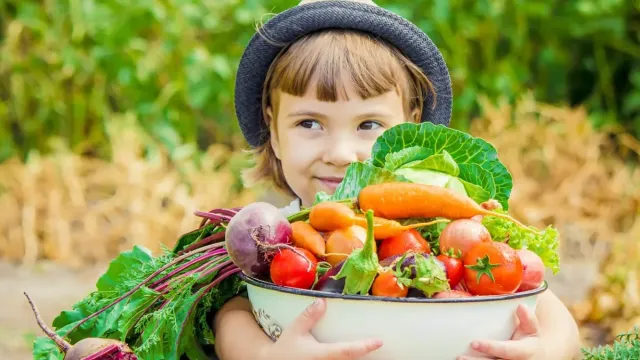 Enjoy tasty and healthy kids  meals