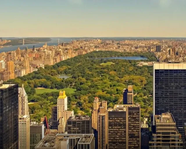 Explore the city that never sleeps