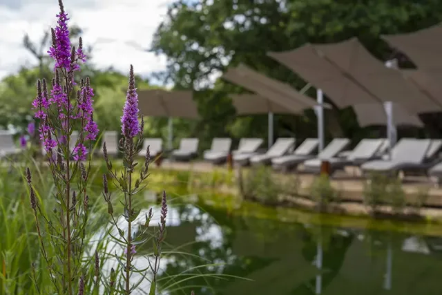 Take a refreshing dip outdoors