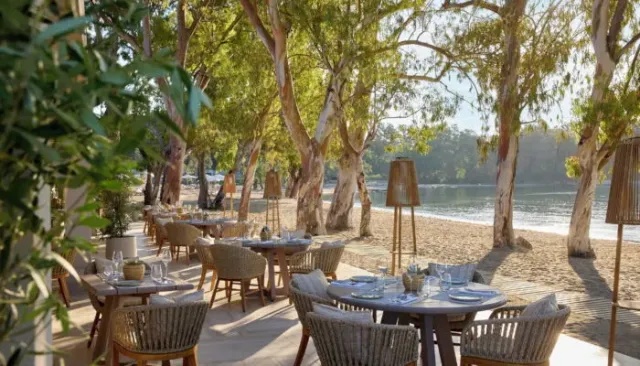 Serving dishes by a Michelin starred chef