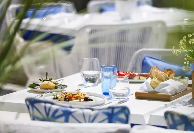 Authentic Greek cuisine with a modern twist