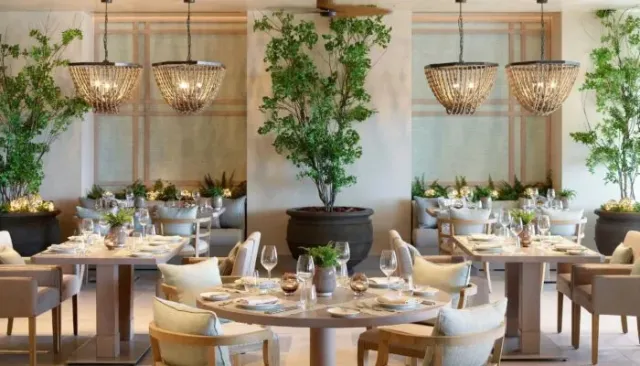 Enjoy a romantic dinner at Provence