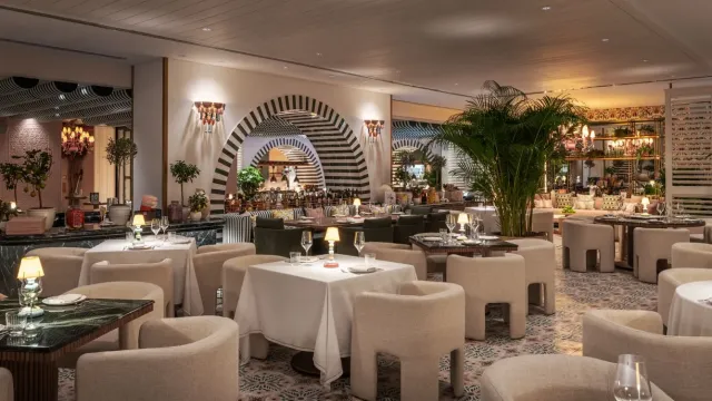 Dive into a world of Italian deliciousness