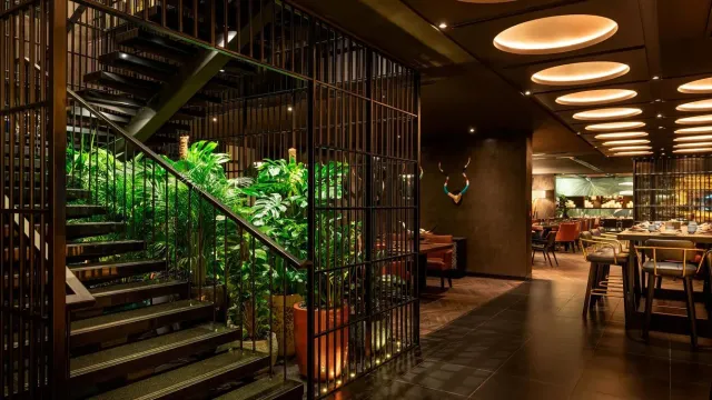 South American cuisine by a renowned chef