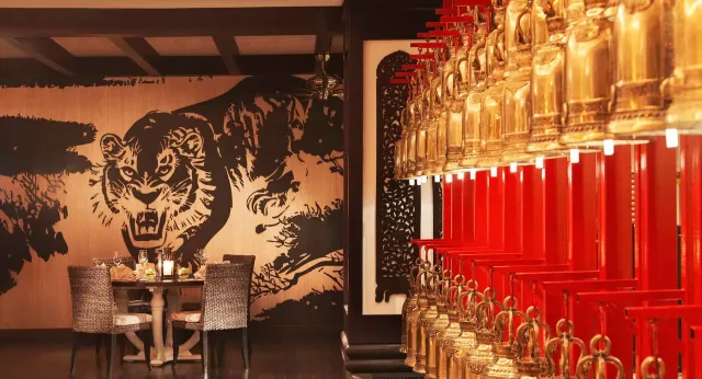 Embark on a culinary journey through Asia