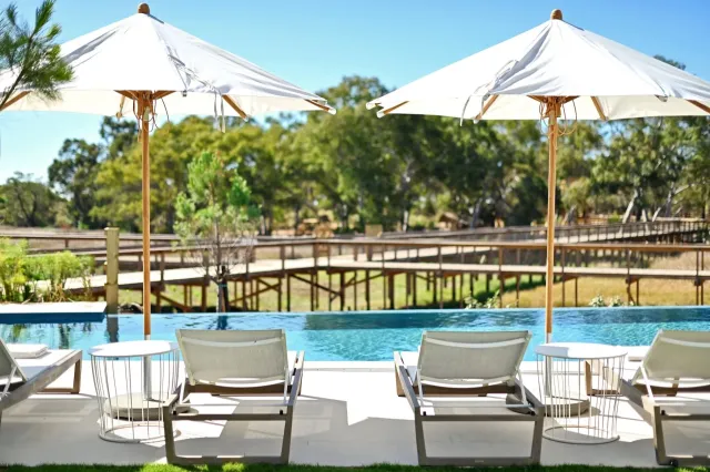 Relax poolside with cocktails   light bites