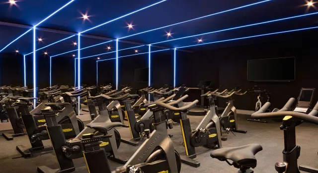 Work out in the fully equipped gym