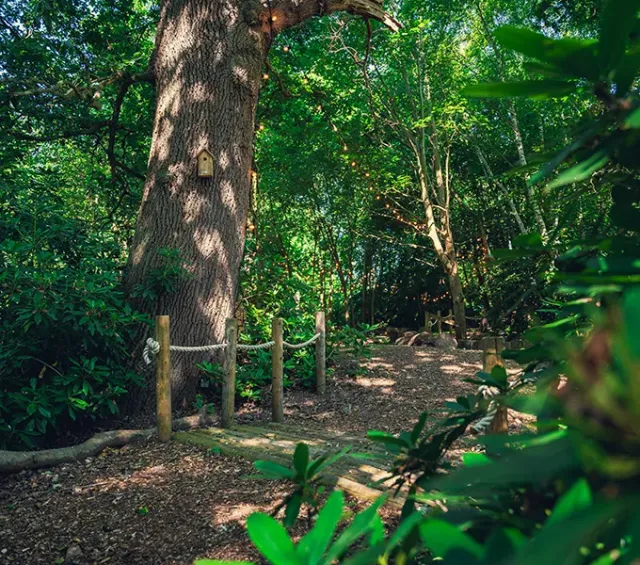 Fun   nature await young explorers