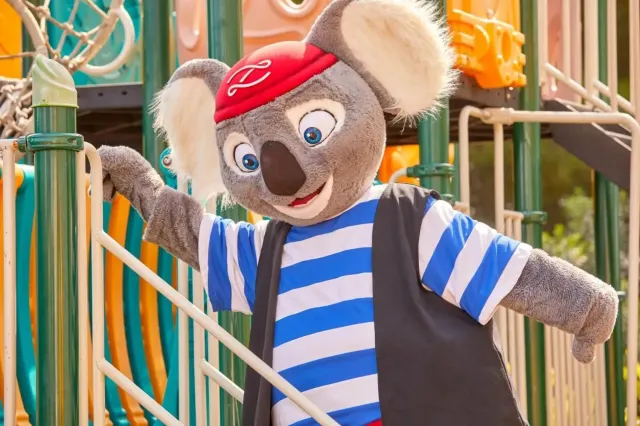 Meet Yzzy the Pirate Koala Bear