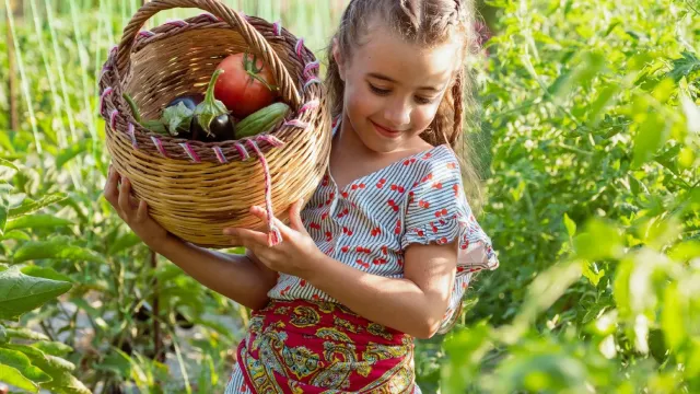 Harvest vegetables  bake bread   more