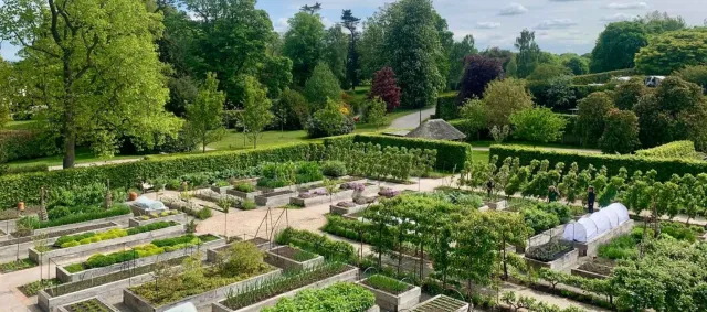Enjoy a kitchen garden tour with lunch