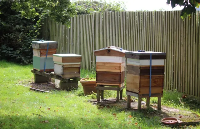 Discover the estate s working beehives