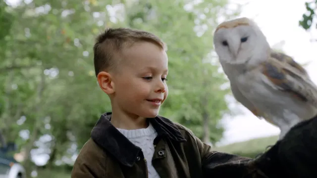 Meet various birds of prey