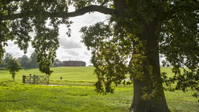 Explore the estate at your own pace
