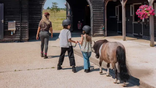Let the kids enjoy a countryside canter