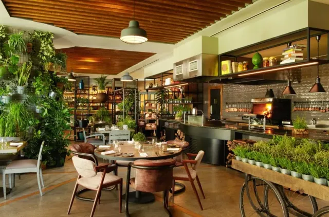 Indulge in contemporary local cuisine