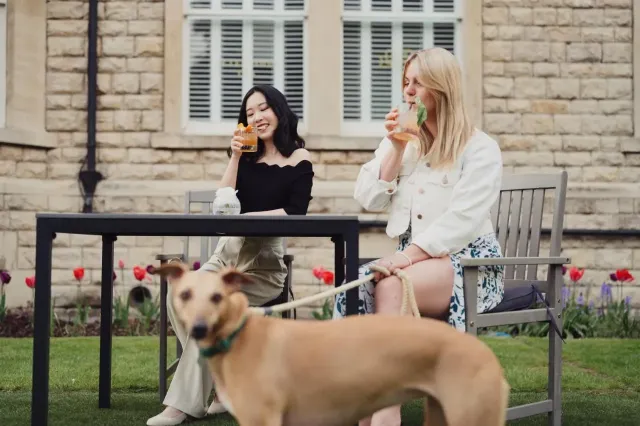 Bring your furry friends away with you