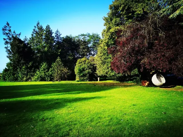Explore and play in the expansive grounds