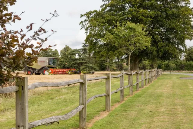 Where home grown produce is grown