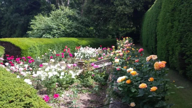 Meander through the lush gardens