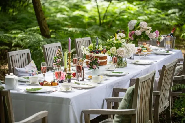 Enjoy afternoon tea in a woodland setting