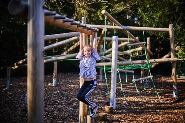 With a zip line  obstacle course   more