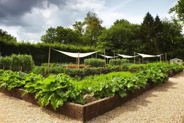 Tour the working kitchen garden
