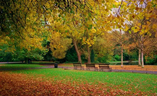 Just a 2 minute walk from The Grafton
