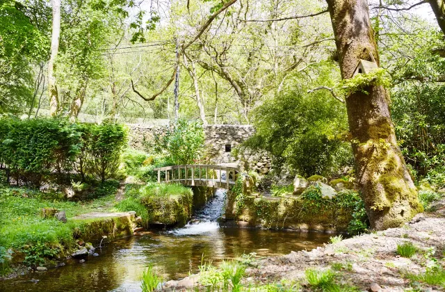 Slow down   enjoy the tranquil landscape