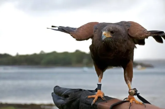 Get closer to wildlife during your stay